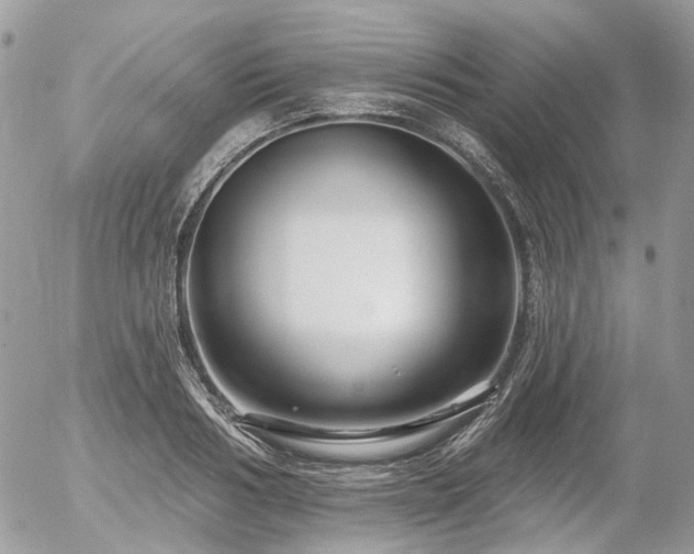 X0000056310986200508261125