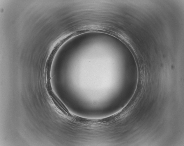 X0000056310987200508261125