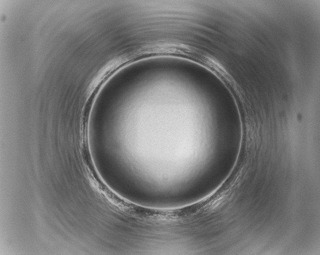 X0000056310994200508261125