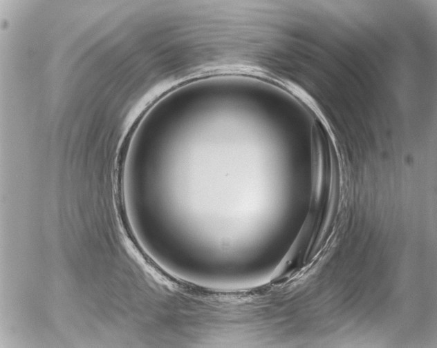 X0000056311005200508261125