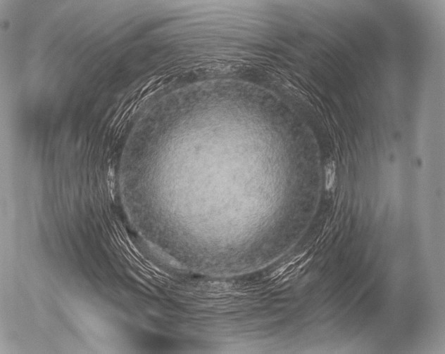 X0000056311011200508261124