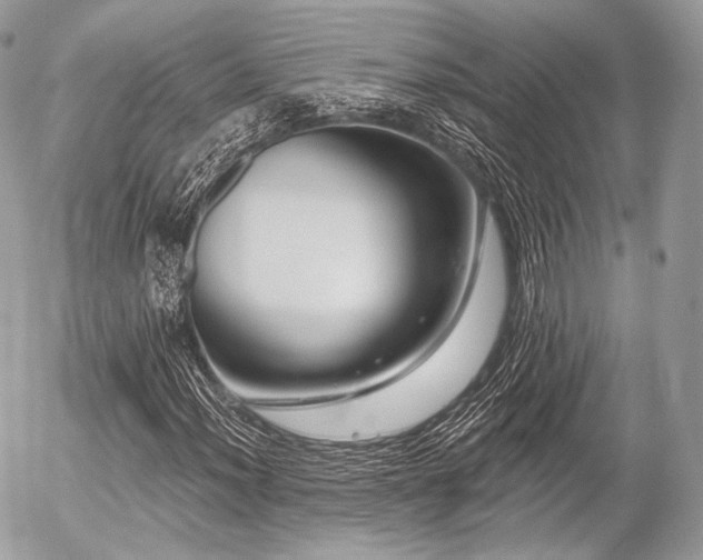 X0000056311012200508261124