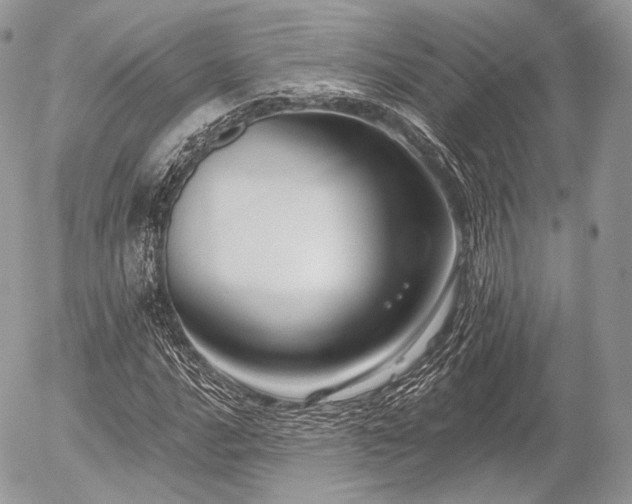 X0000056311016200508261124