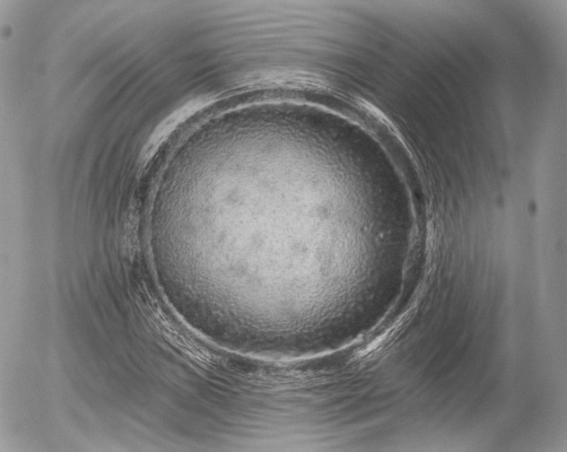 X0000056311019200508261124