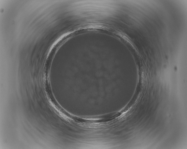 X0000056311024200508261124
