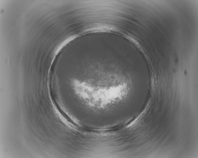 X0000056311034200508261124