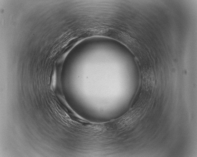 X0000056311058200508261124