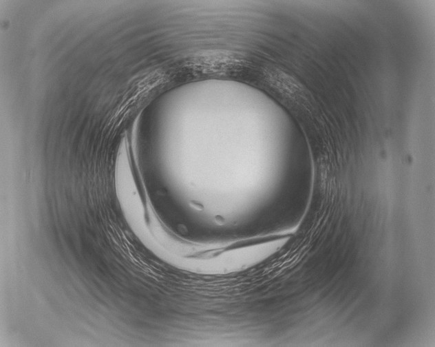 X0000056311060200508261124