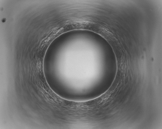X0000056311061200508261124