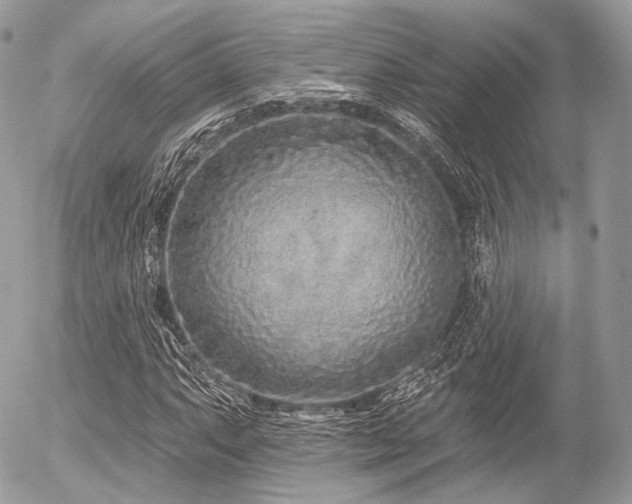 X0000056311063200508261124
