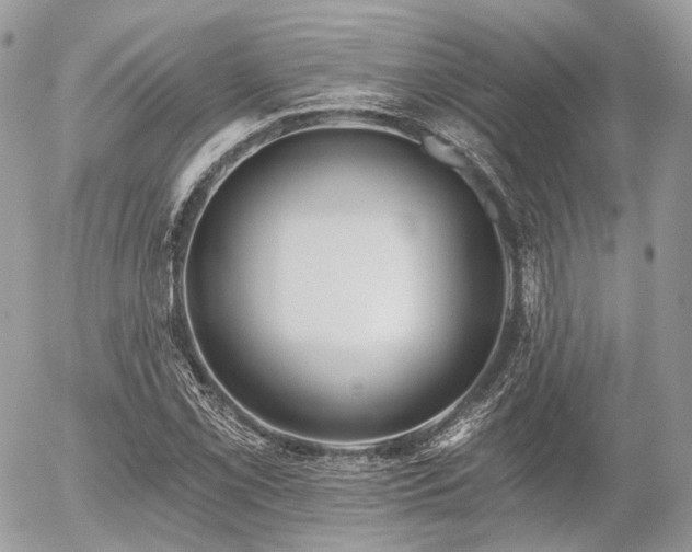X0000056311069200508261123