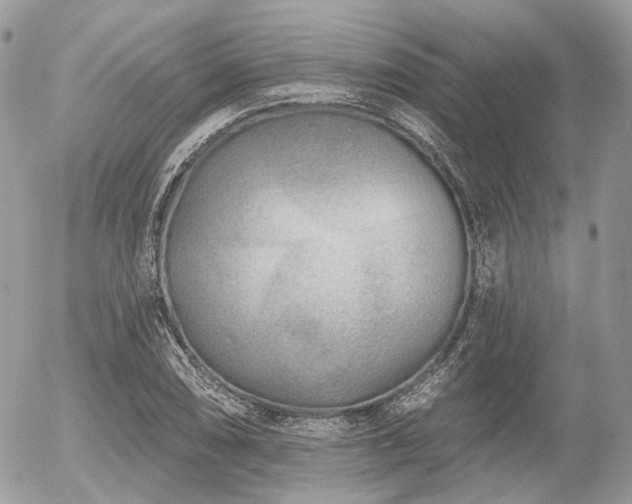 X0000056311074200508261123