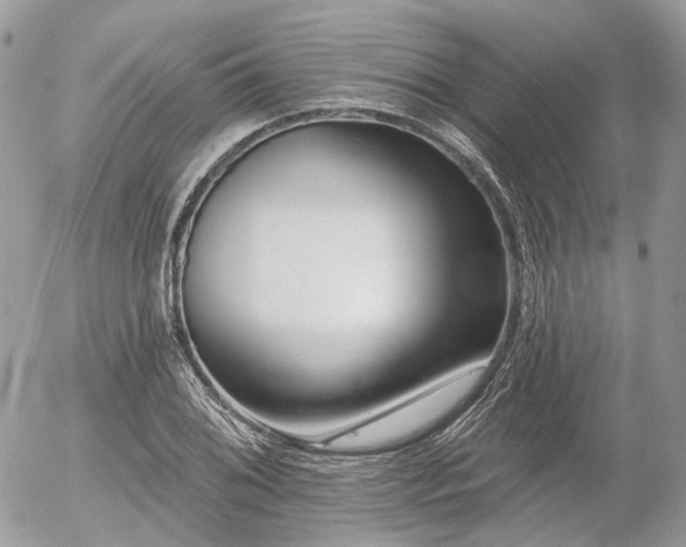X0000056311076200508261123