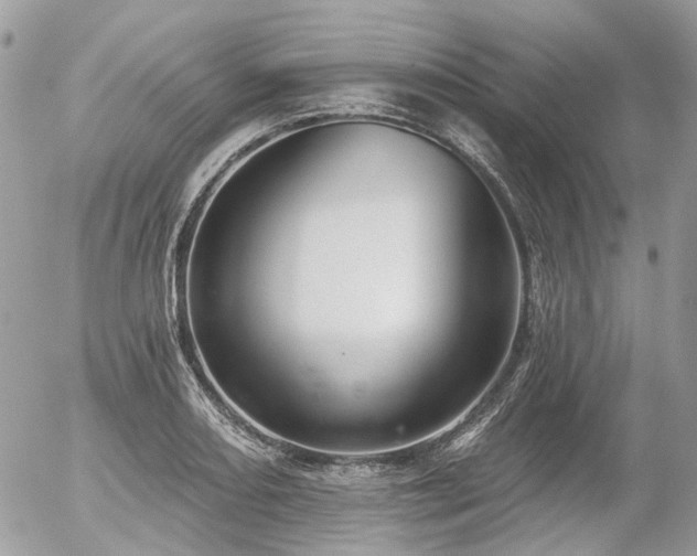 X0000056311082200508261123
