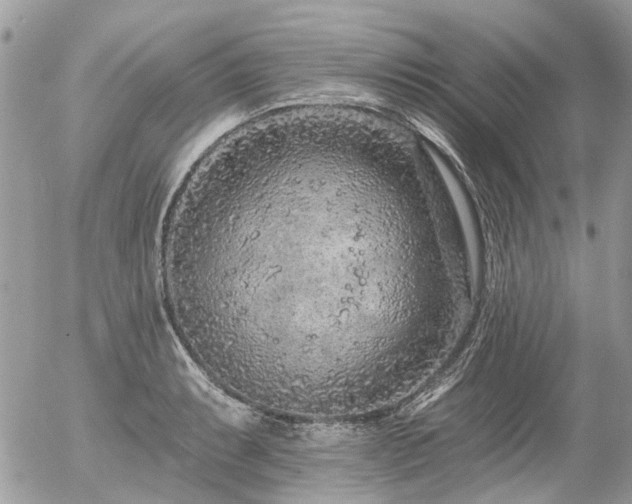 X0000056311087200508261123