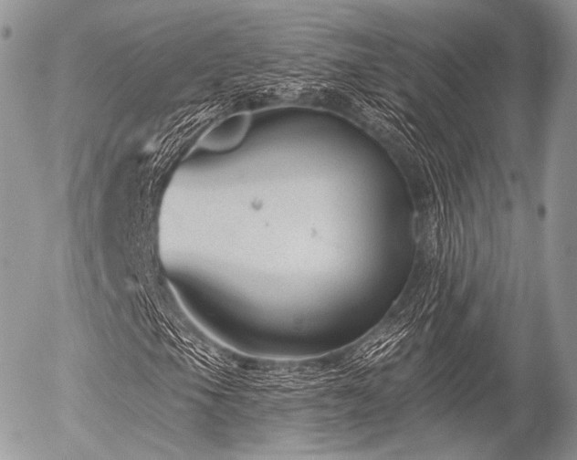 X0000056311105200508261122