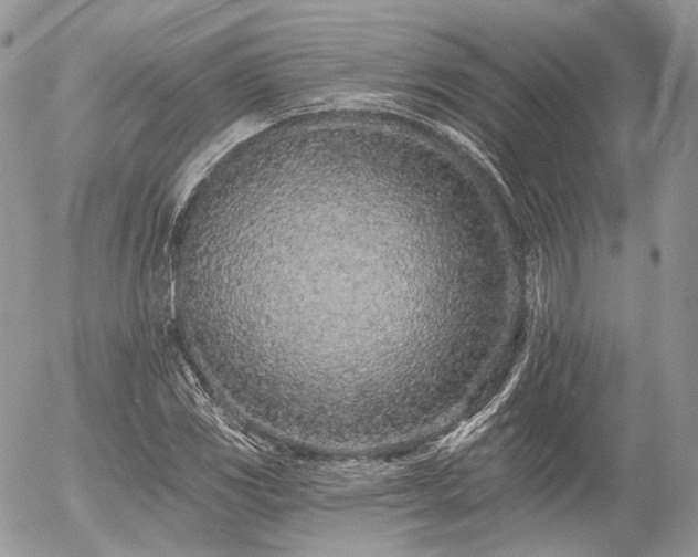 X0000056311117200508261122