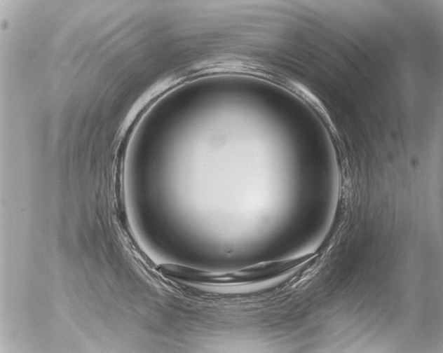 X0000056311146200508261123