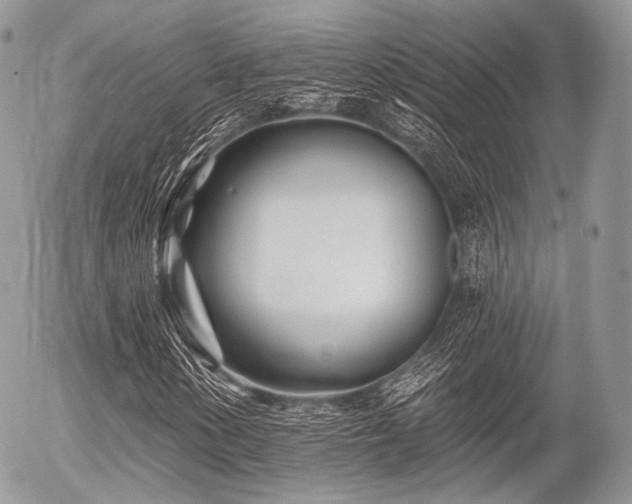 X0000056311154200508261122