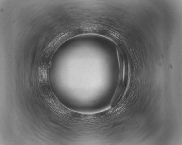 X0000056311155200508261122