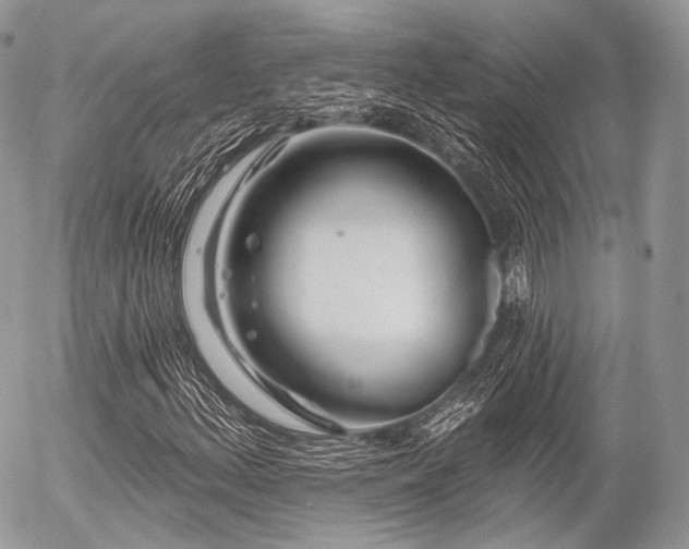 X0000056311156200508261122