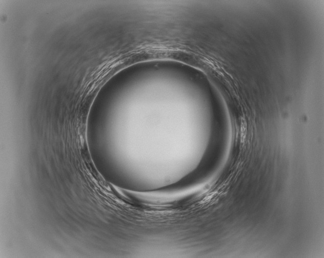 X0000056311157200508261122