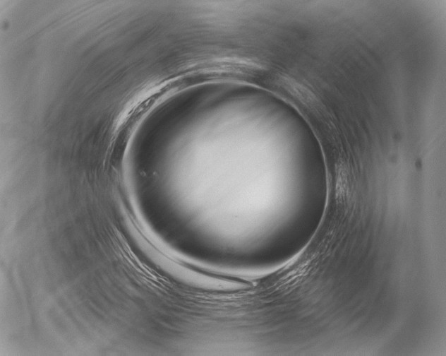 X0000056311164200508261122