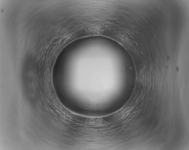 X0000056311201200508261121