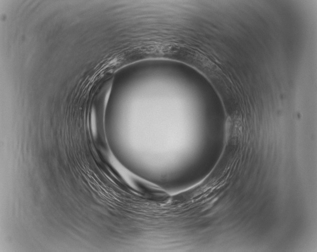 X0000056311202200508261121