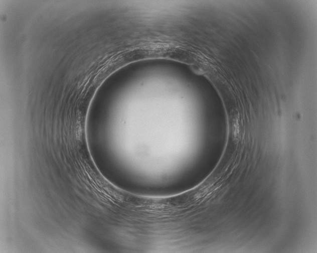 X0000056311204200508261121