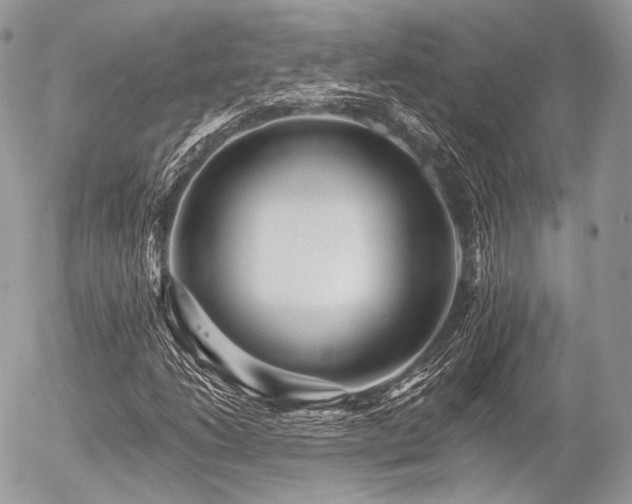X0000056311206200508261121