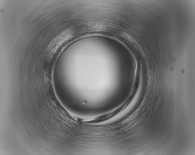 X0000056311210200508261121