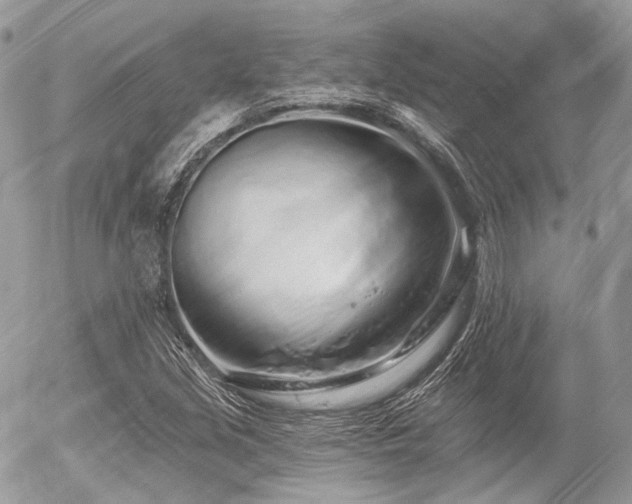 X0000056311213200508261121