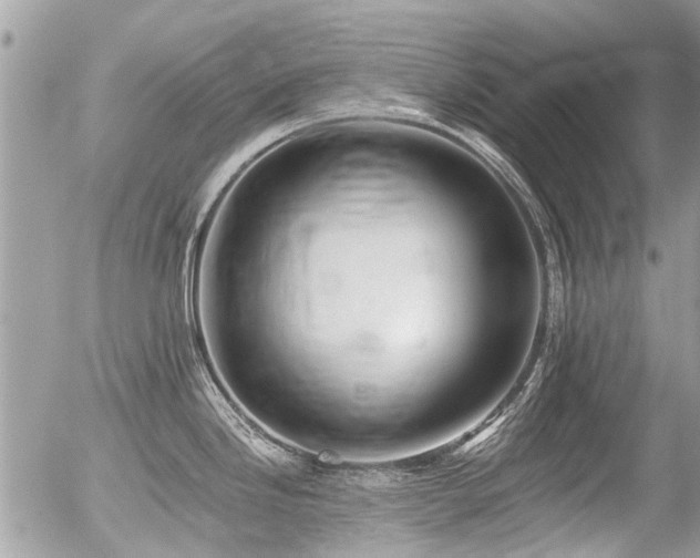 X0000056311246200508261121