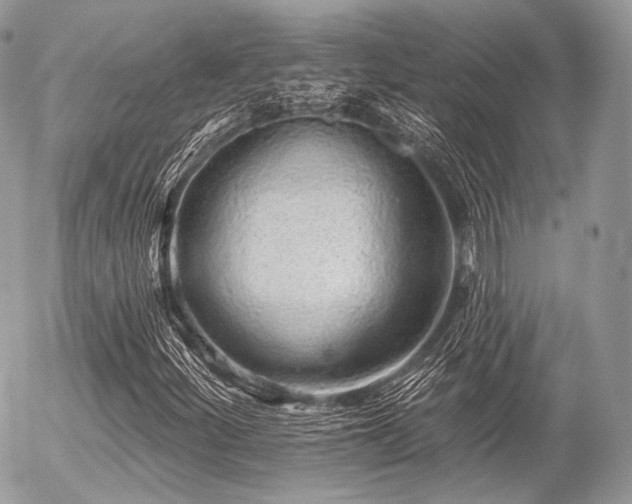 X0000056311252200508261120
