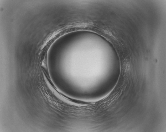 X0000056311256200508261120
