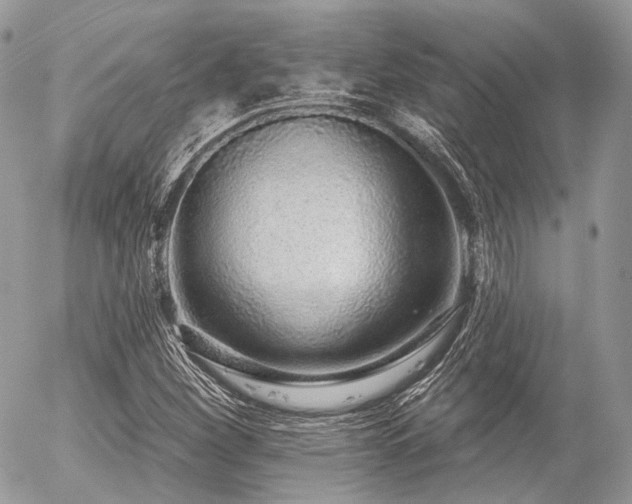 X0000056311260200508261120
