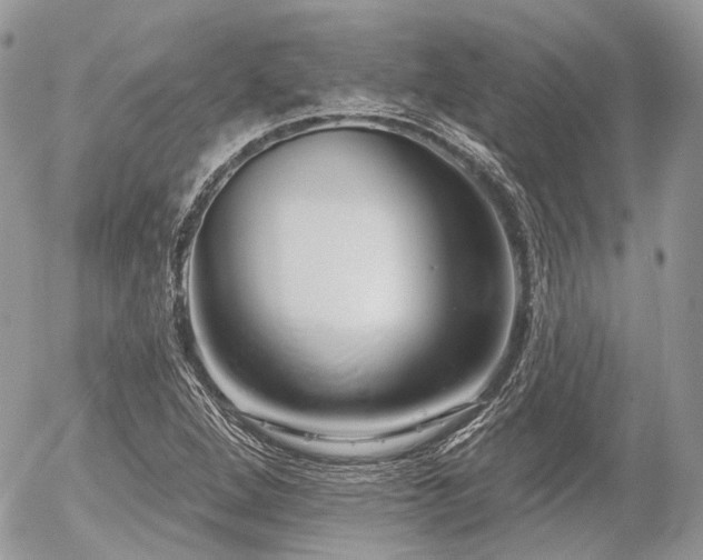 X0000056311264200508261120