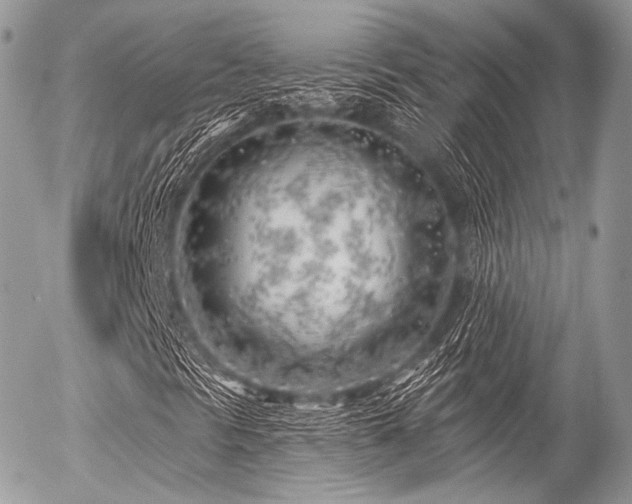 X0000056311297200508261119