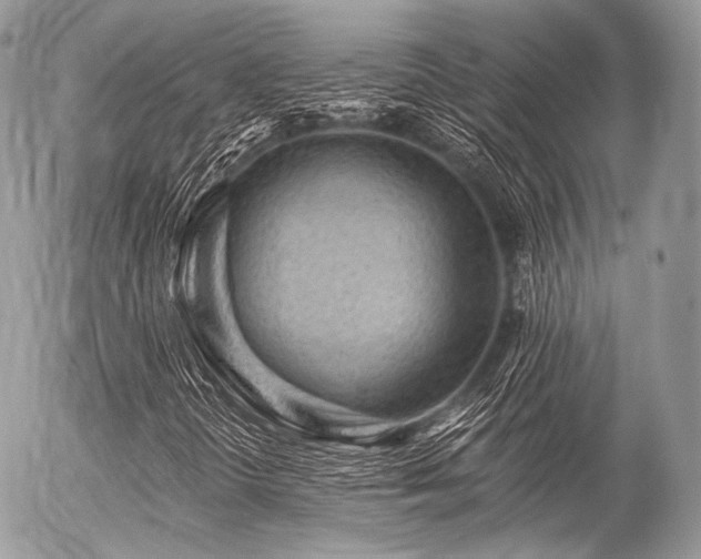 X0000056311298200508261119