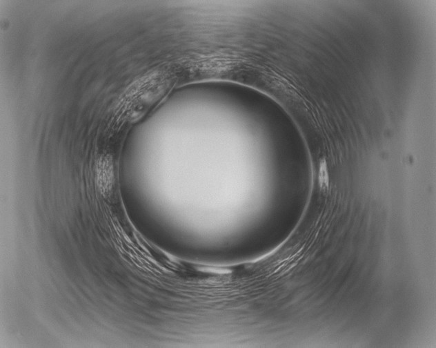 X0000056311299200508261119