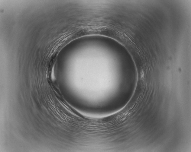 X0000056311300200508261119