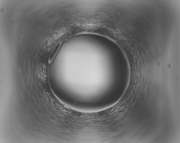 X0000056311301200508261119