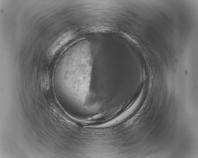 X0000056311306200508261119