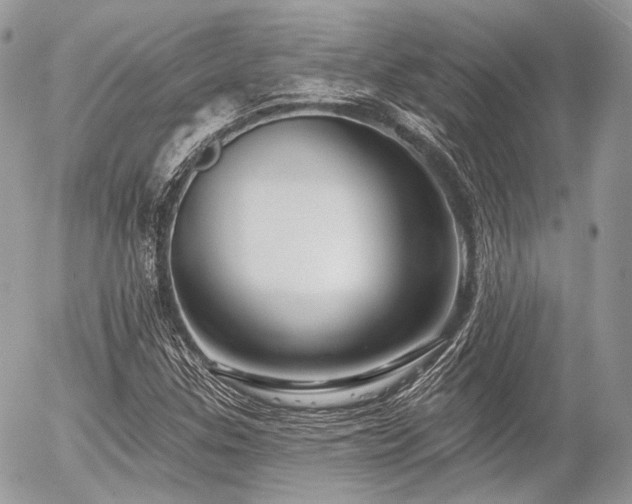 X0000056311307200508261119