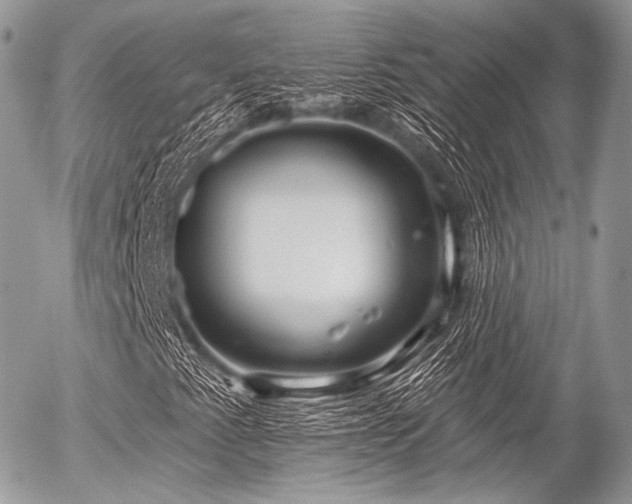 X0000056311345200508261119