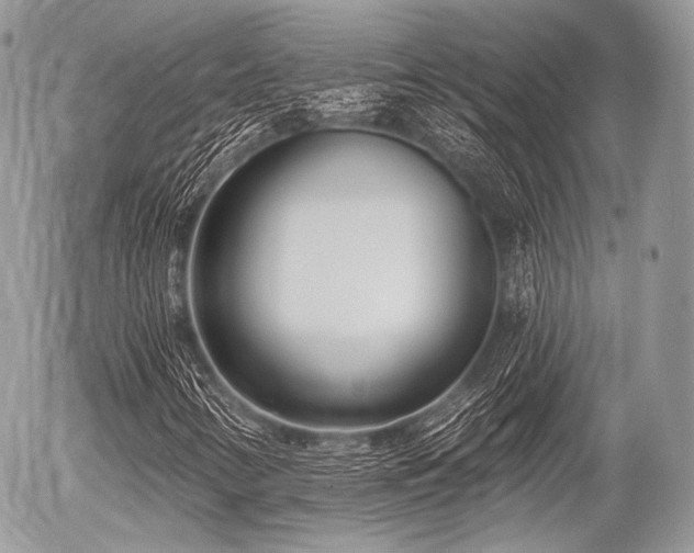 X0000056311346200508261119