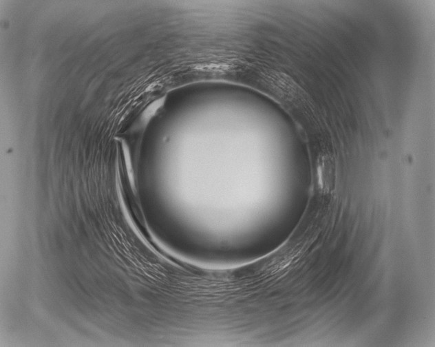 X0000056311347200508261119