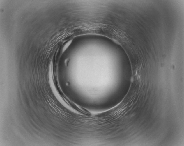 X0000056311348200508261119
