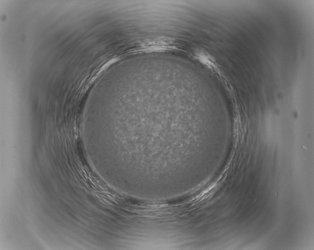 X0000056311353200508261119
